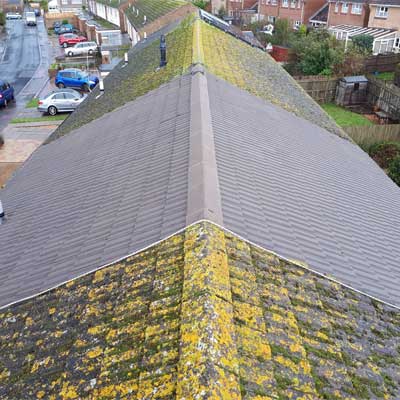 roof moss removal
