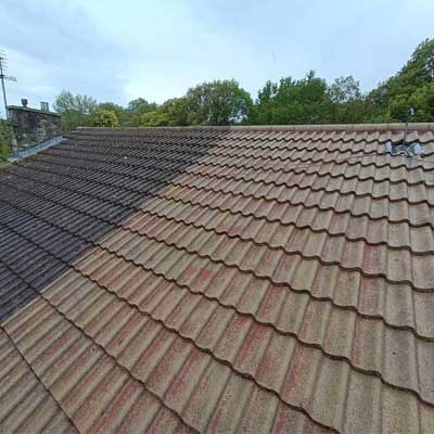 roof softwashing