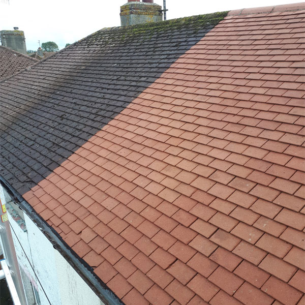 roof moss removal glasgow